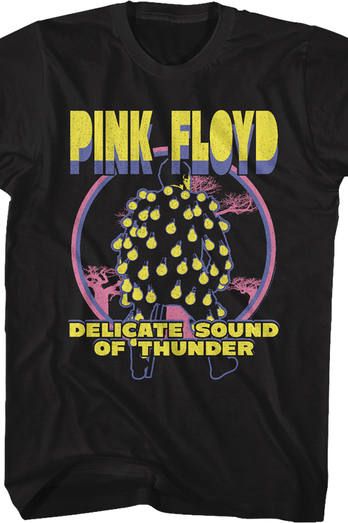 Delicate Sound Of Thunder Pink Floyd T-Shirt