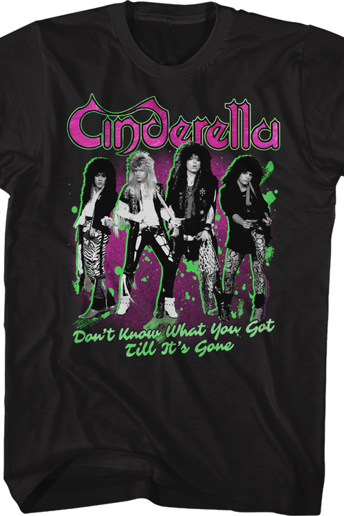 Don't Know What You Got Till It's Gone Cinderella T-Shirt